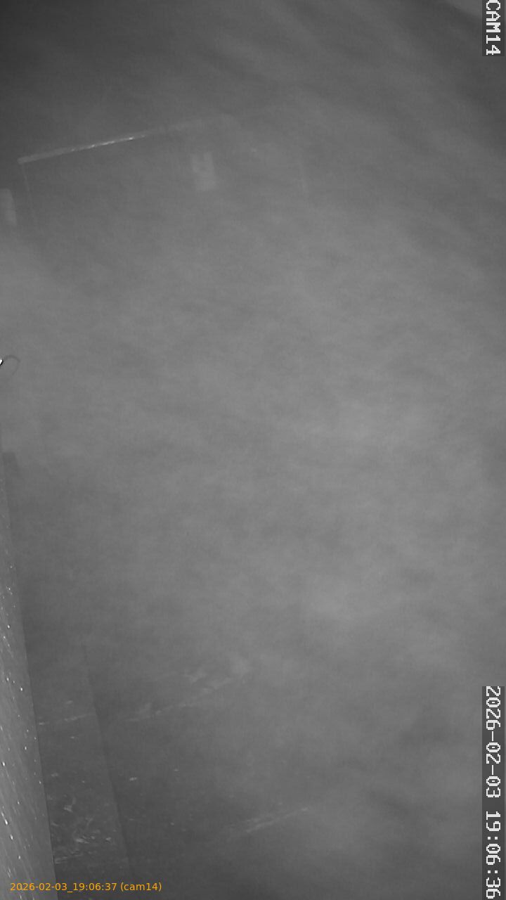 thumbnail_20260203190637