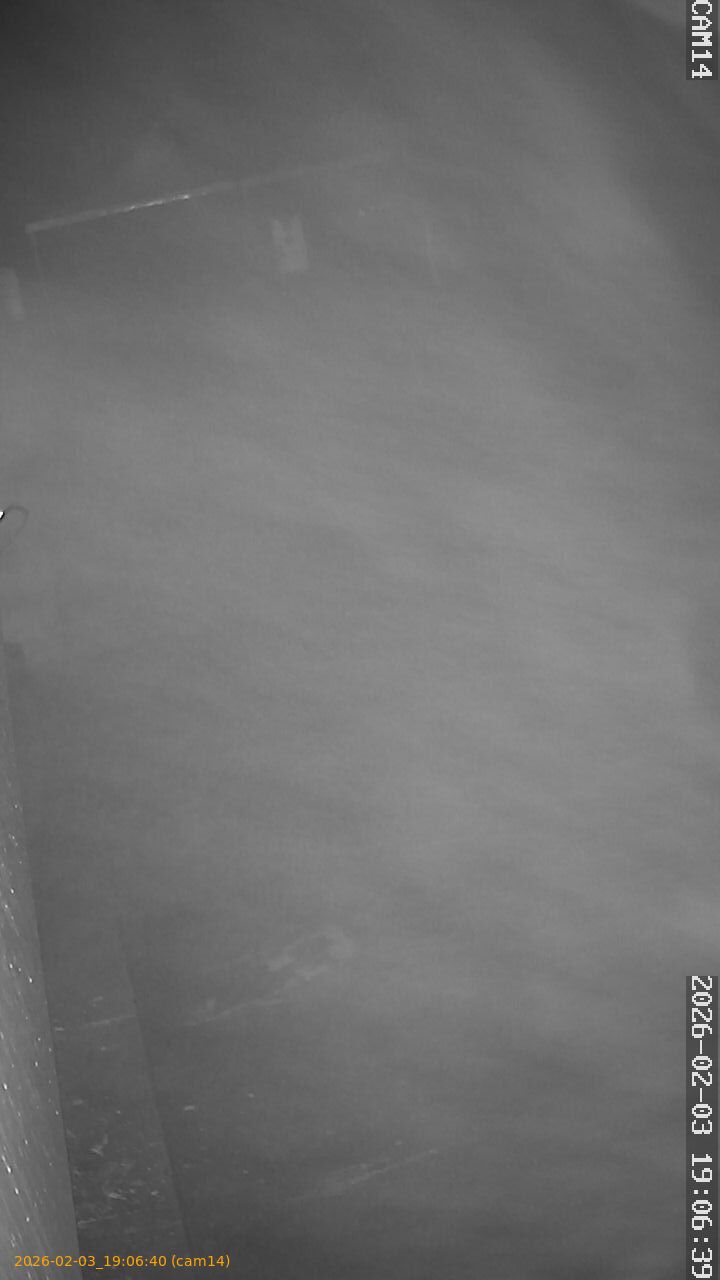 thumbnail_20260203190640