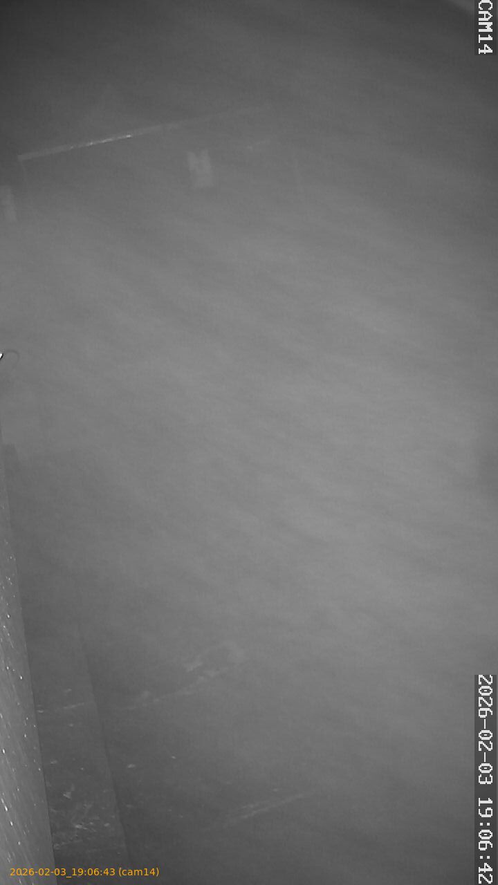 thumbnail_20260203190643