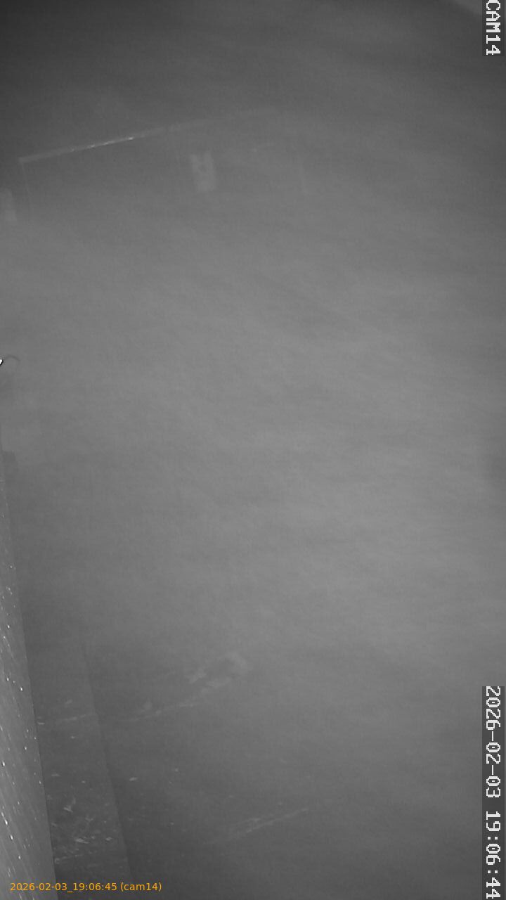 thumbnail_20260203190645