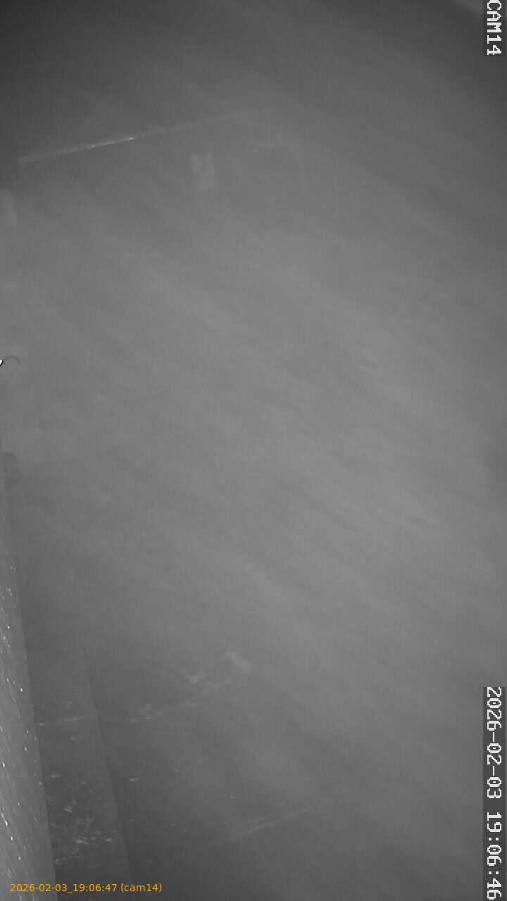 thumbnail_20260203190647