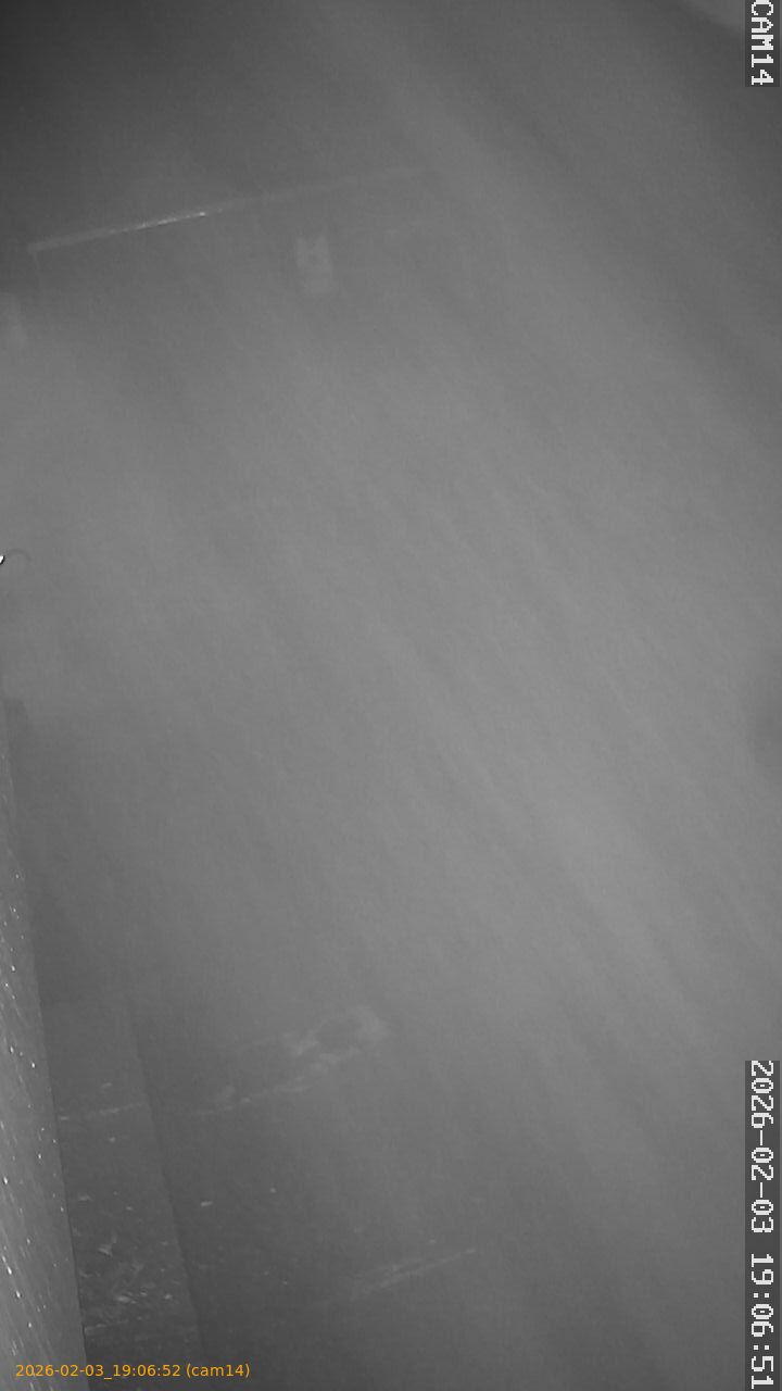 thumbnail_20260203190652