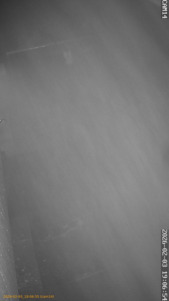 thumbnail_20260203190655