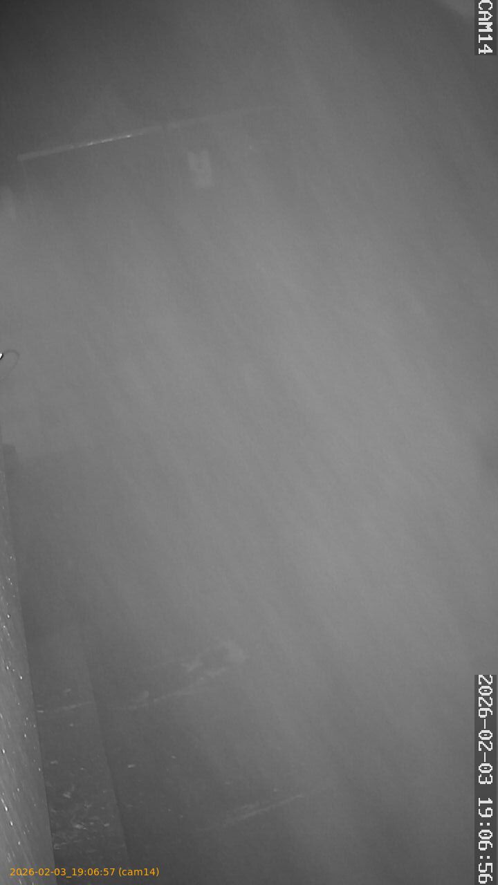 thumbnail_20260203190657