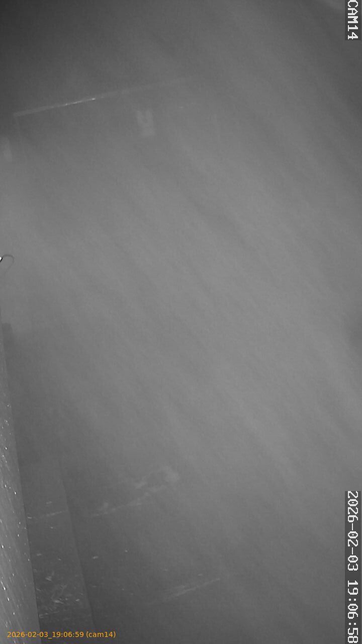 thumbnail_20260203190659