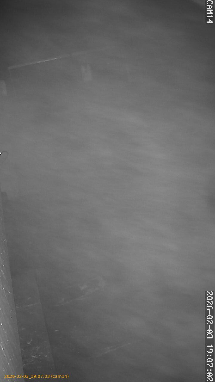 thumbnail_20260203190703