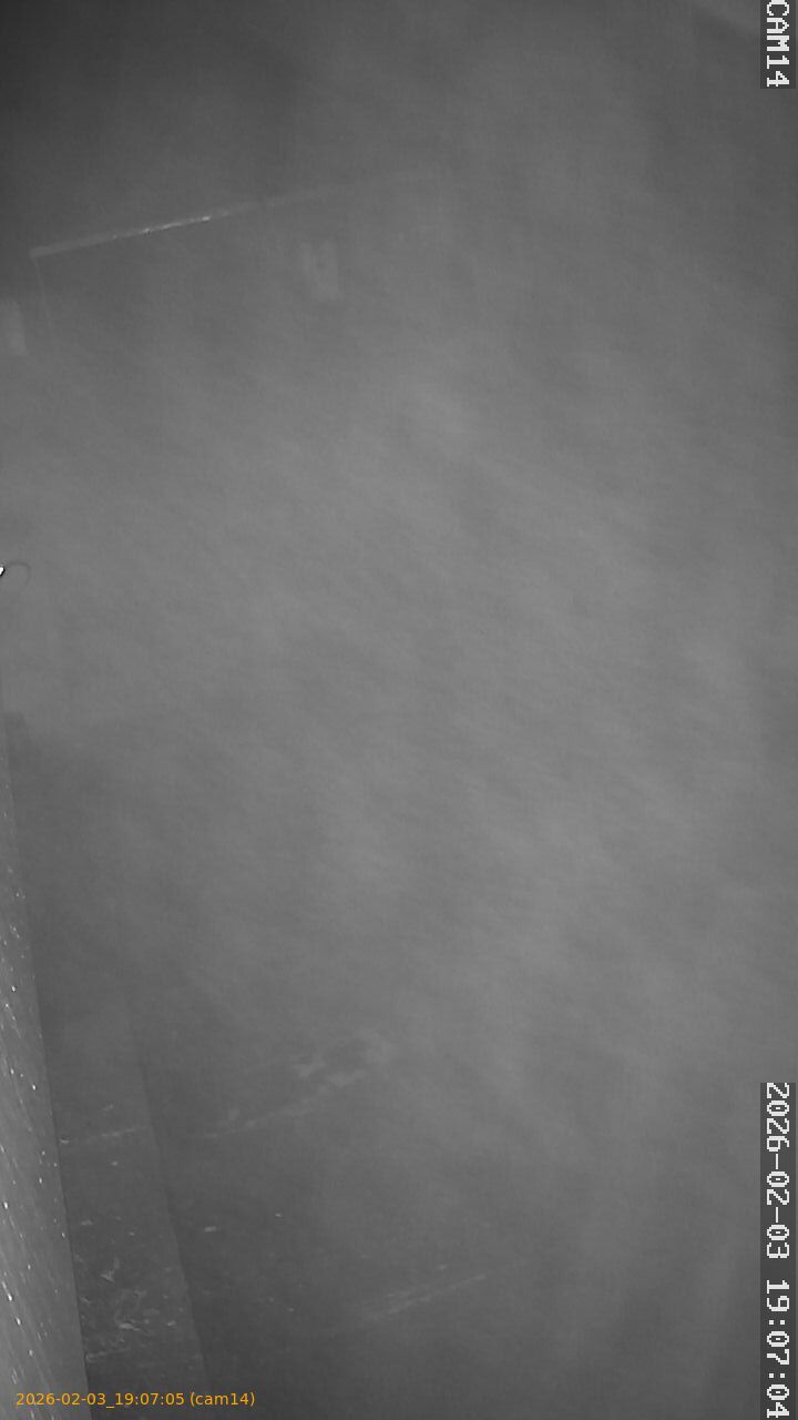 thumbnail_20260203190705