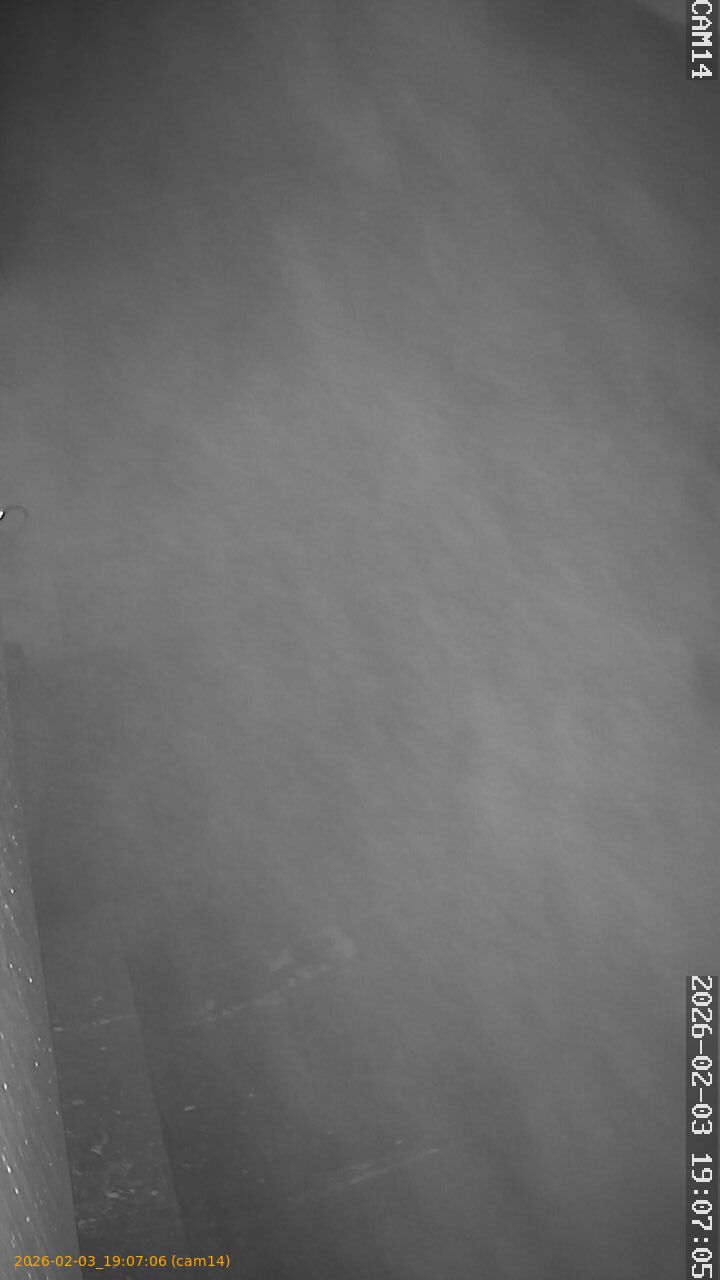 thumbnail_20260203190706