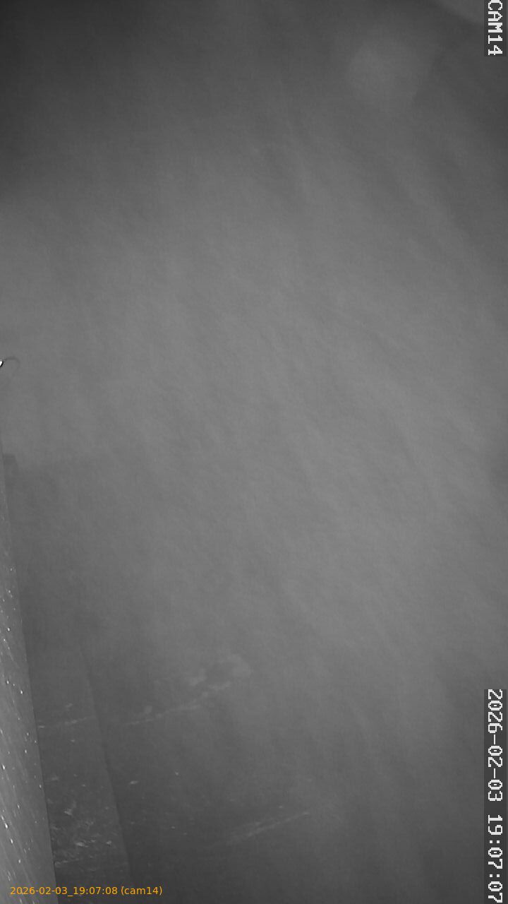 thumbnail_20260203190708