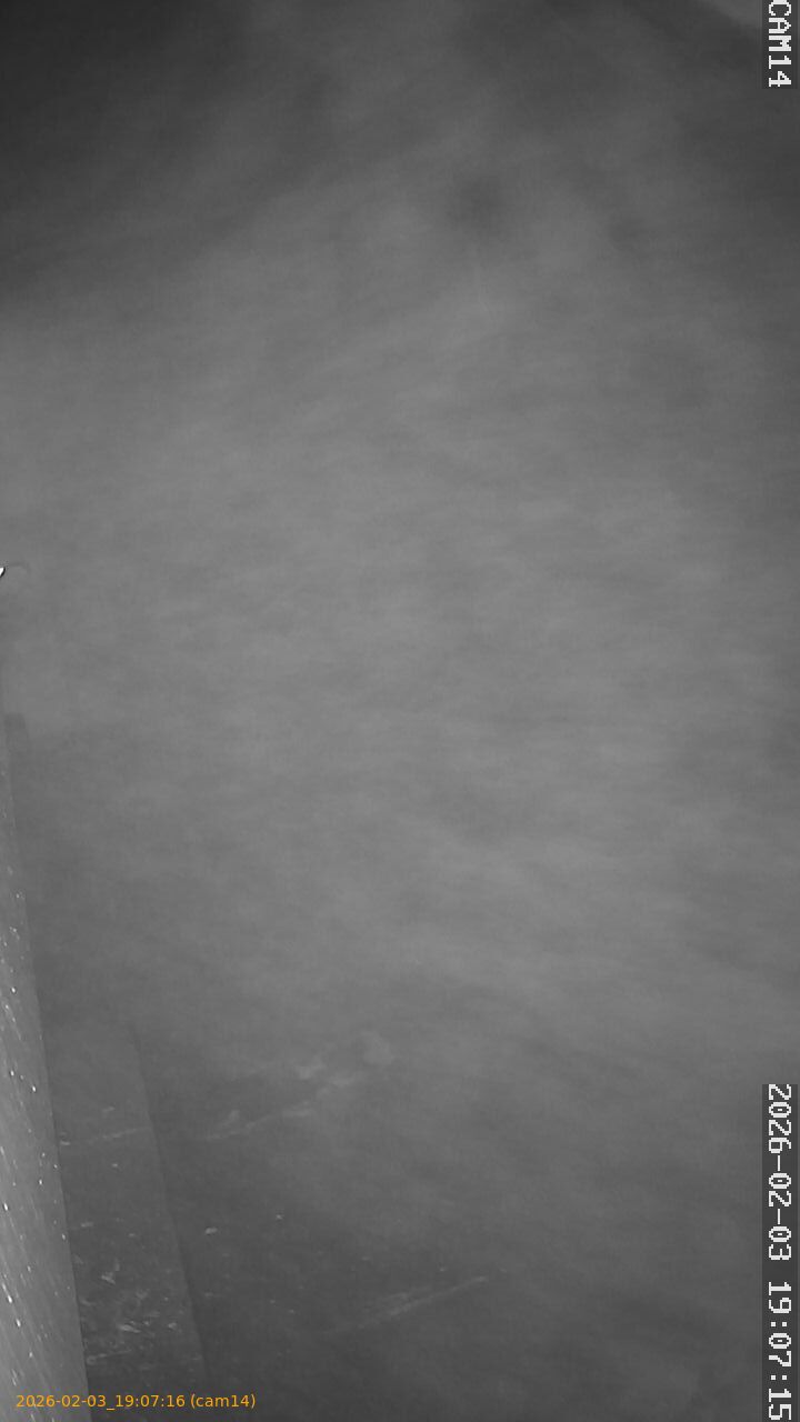 thumbnail_20260203190716