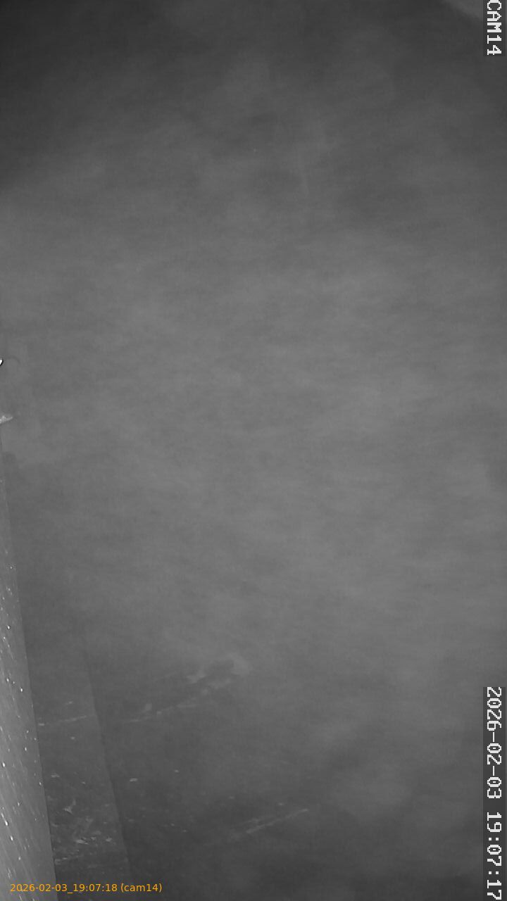 thumbnail_20260203190718