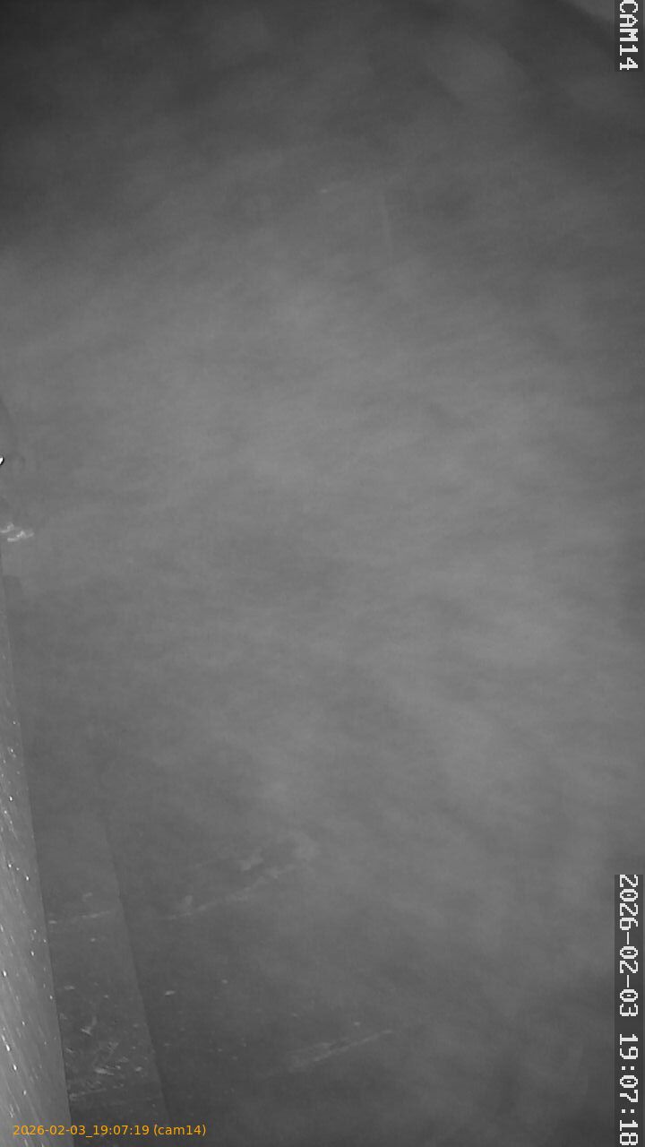 thumbnail_20260203190719