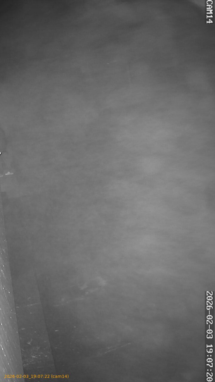 thumbnail_20260203190721