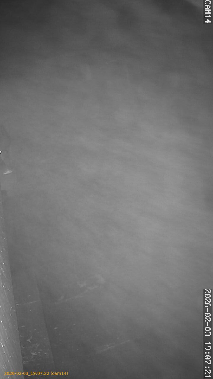 thumbnail_20260203190722