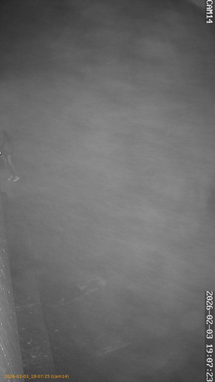 thumbnail_20260203190724