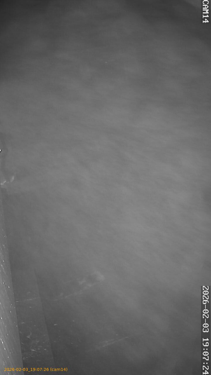 thumbnail_20260203190726