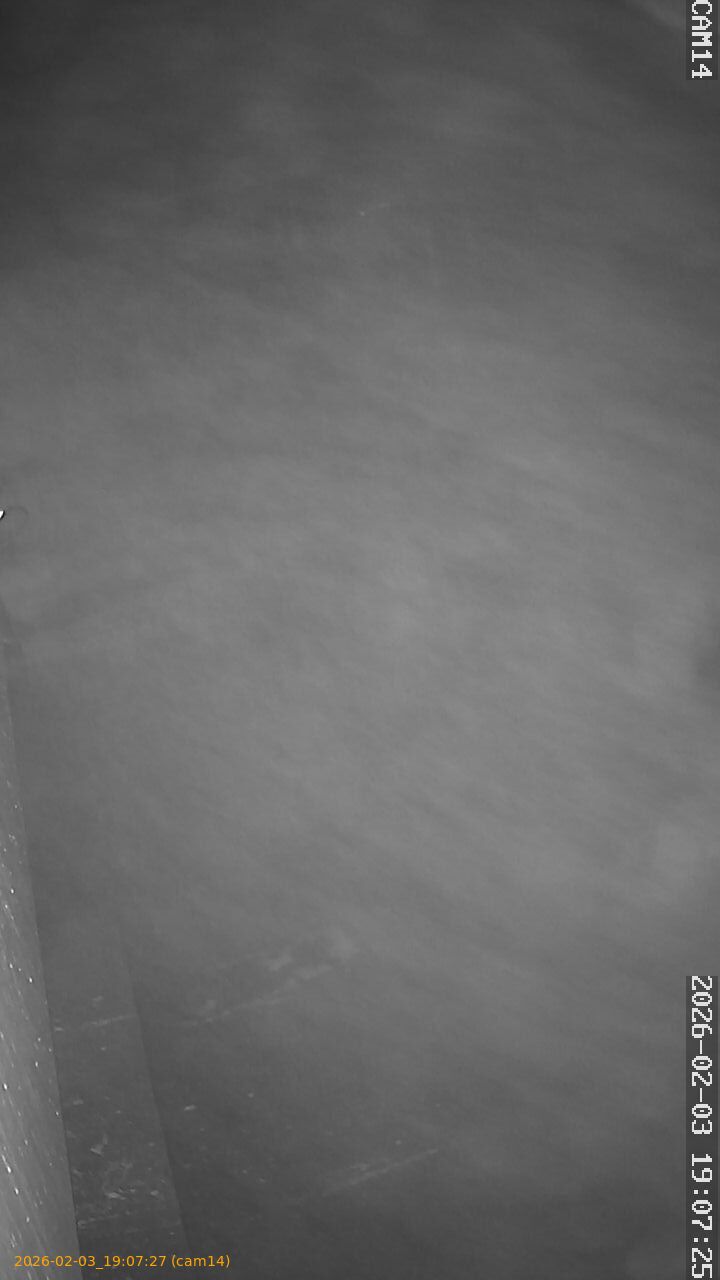 thumbnail_20260203190727