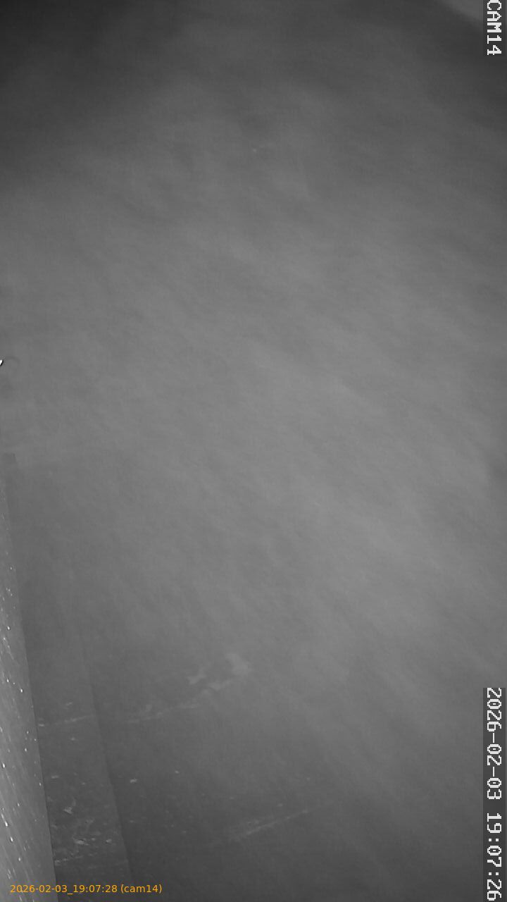 thumbnail_20260203190728