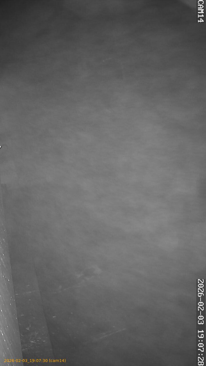 thumbnail_20260203190730