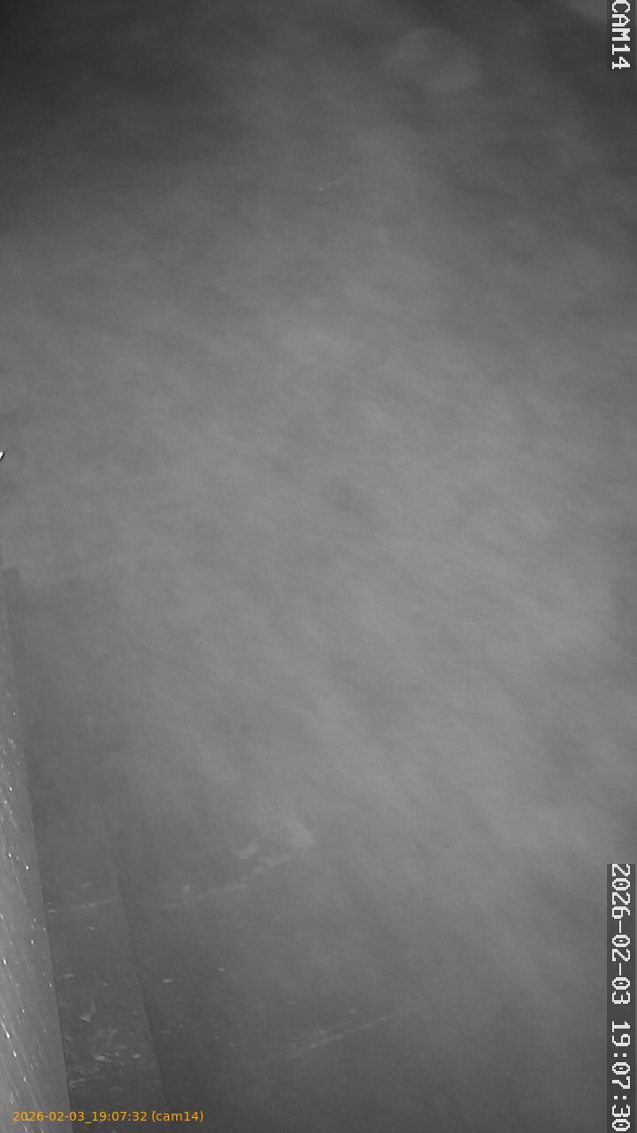 thumbnail_20260203190732