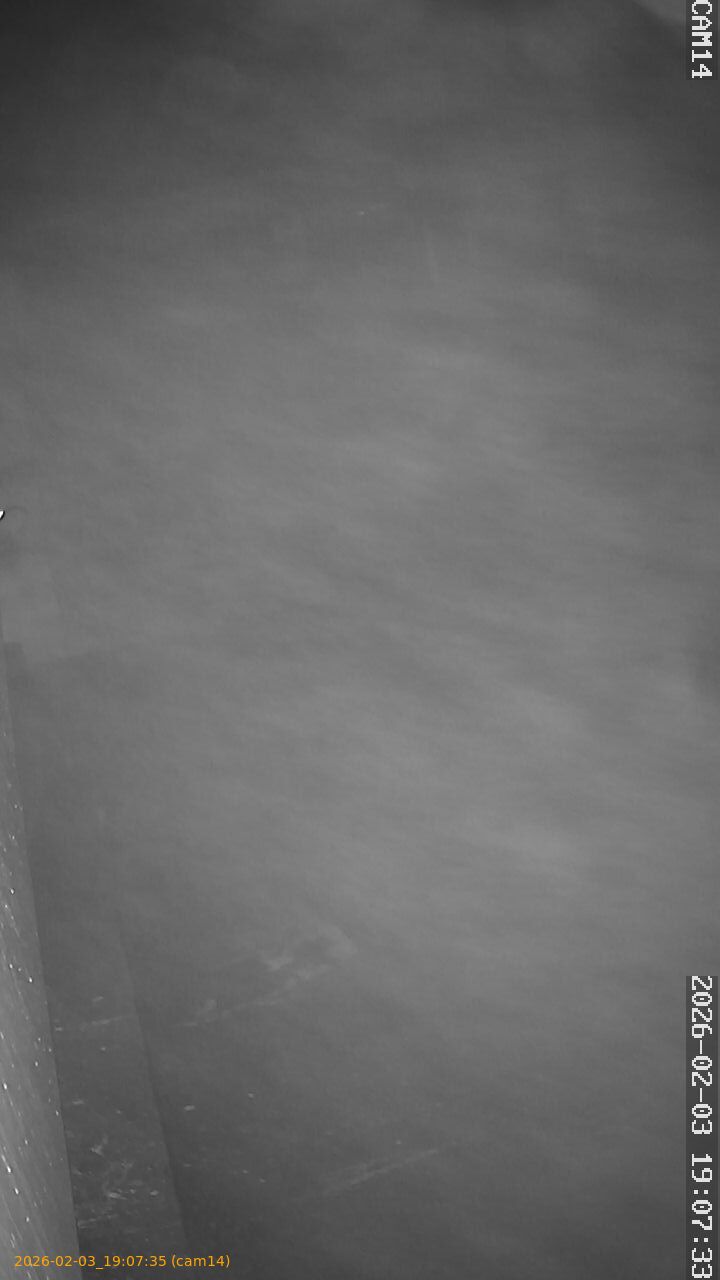 thumbnail_20260203190735