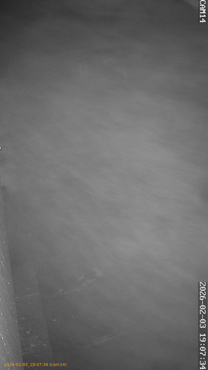 thumbnail_20260203190736