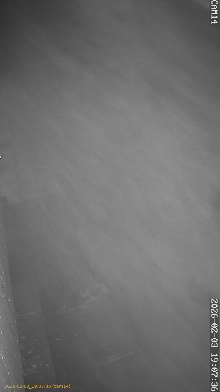 thumbnail_20260203190738