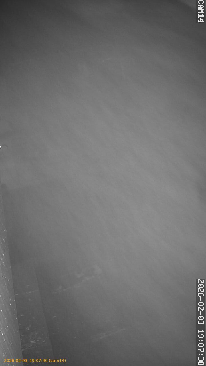 thumbnail_20260203190740