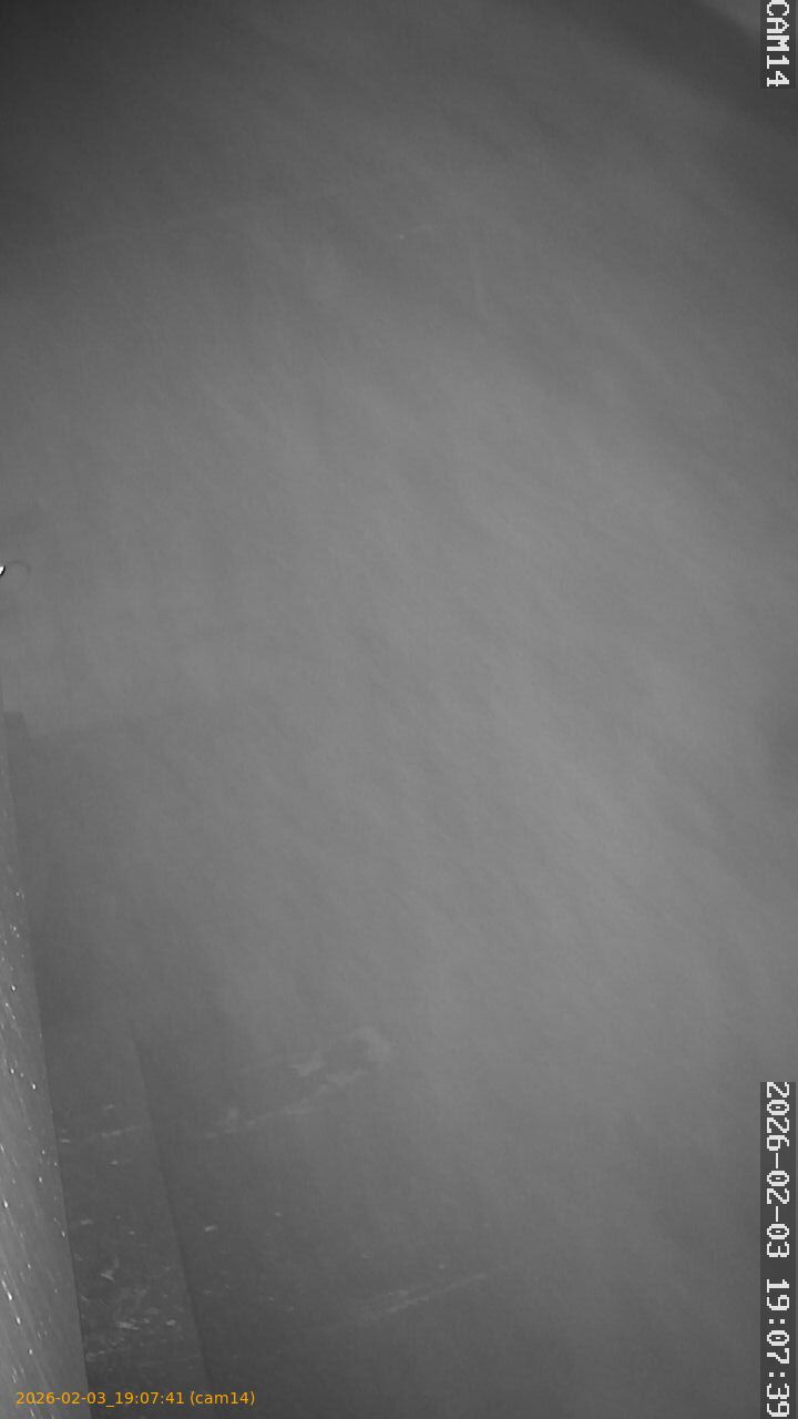 thumbnail_20260203190741