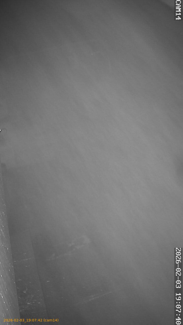 thumbnail_20260203190742