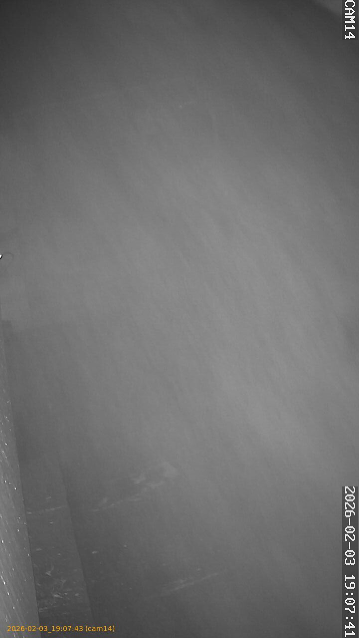 thumbnail_20260203190743