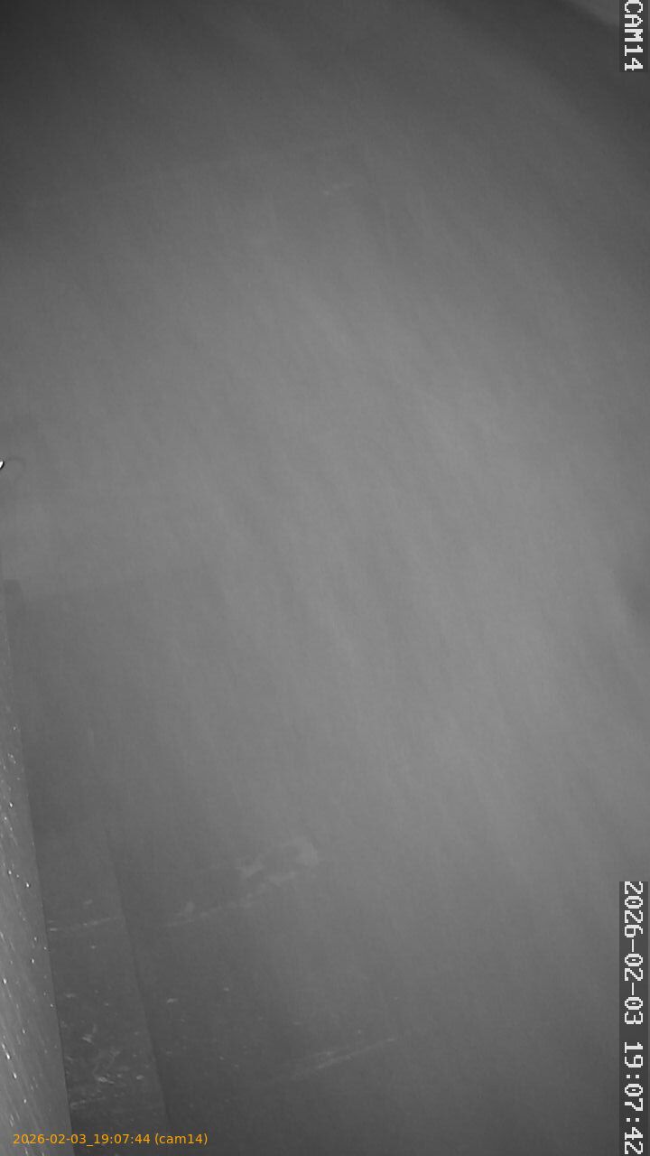 thumbnail_20260203190744