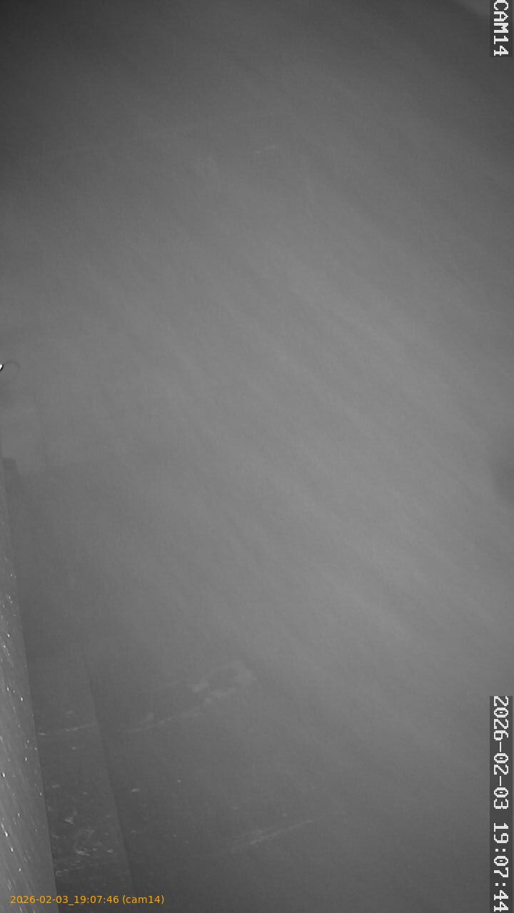 thumbnail_20260203190746