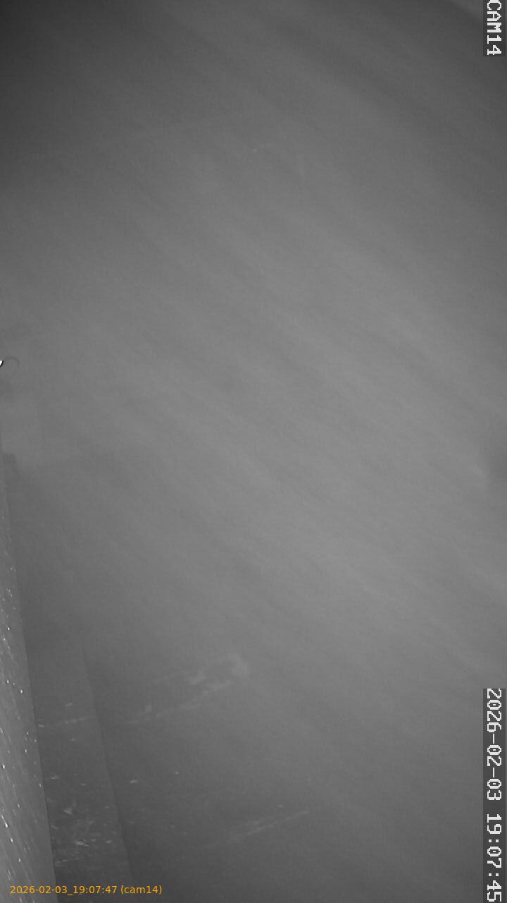 thumbnail_20260203190747