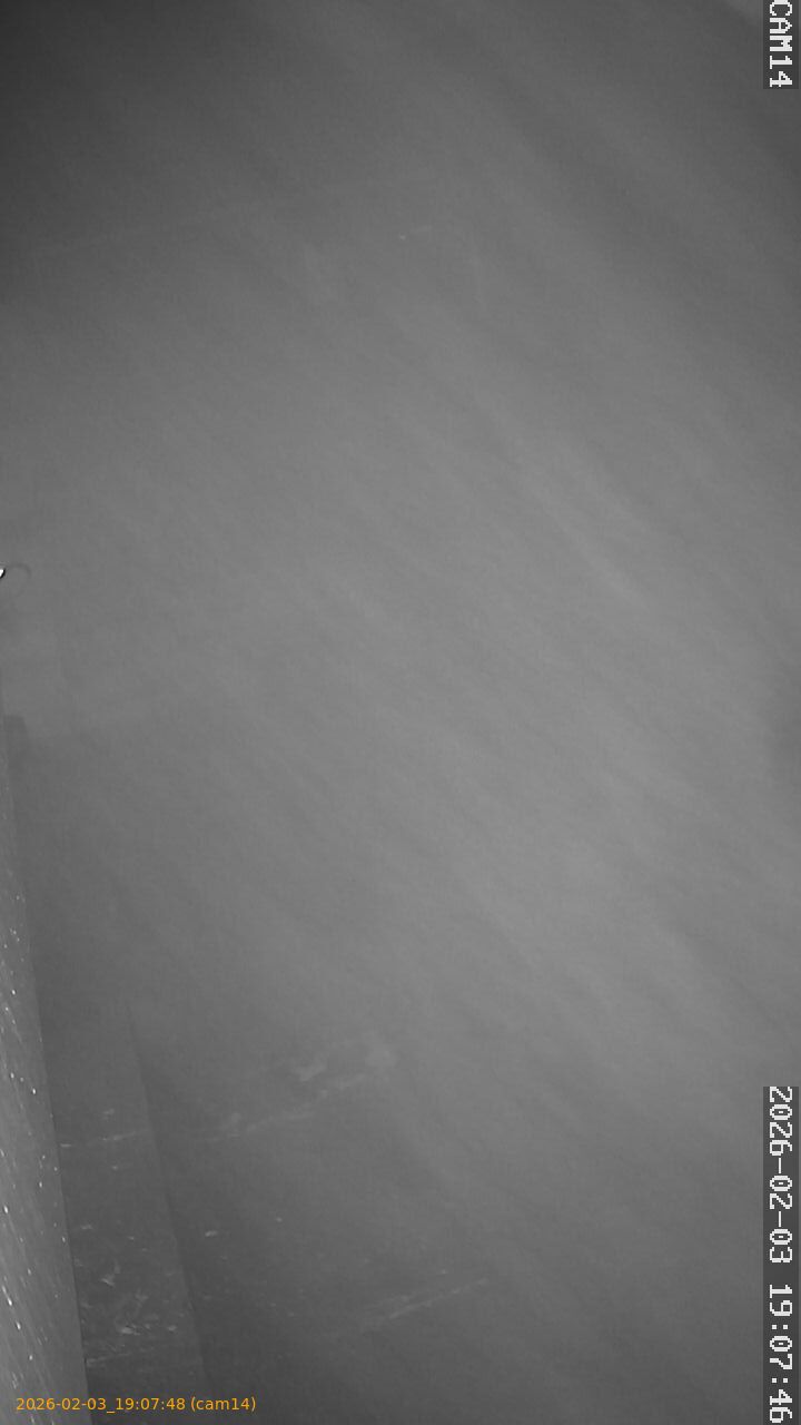 thumbnail_20260203190748