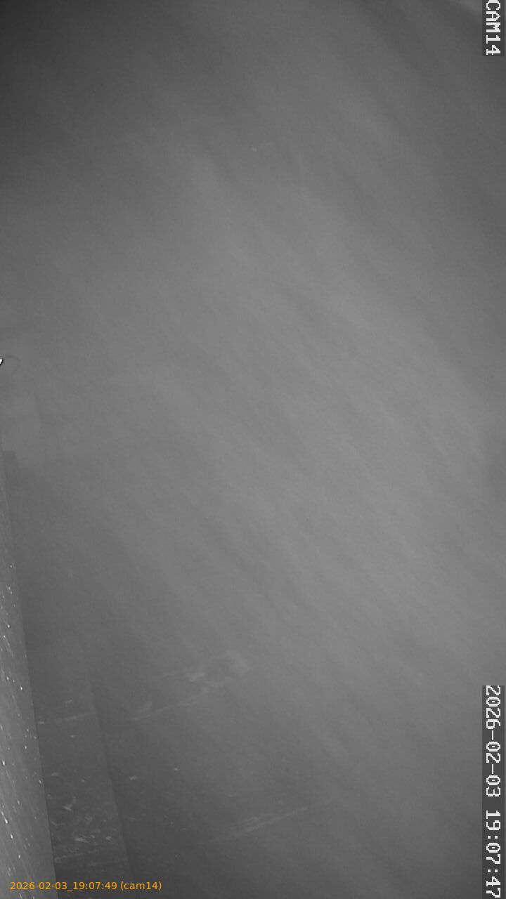 thumbnail_20260203190749