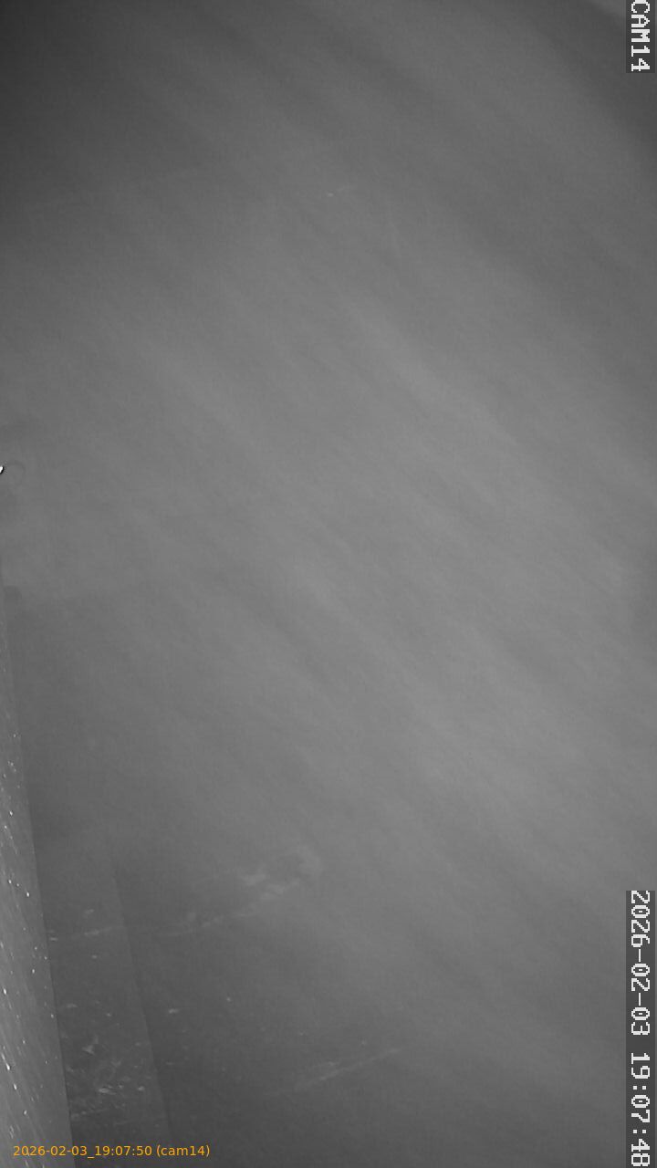 thumbnail_20260203190750