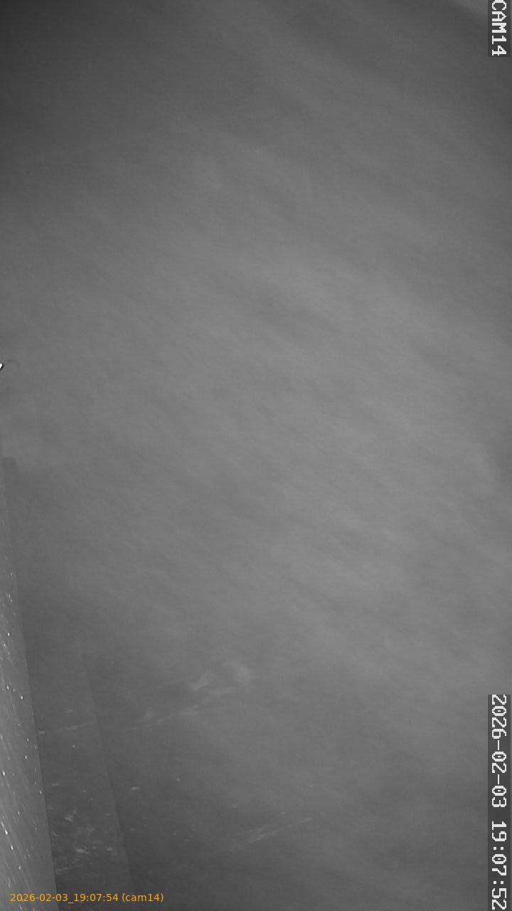 thumbnail_20260203190754