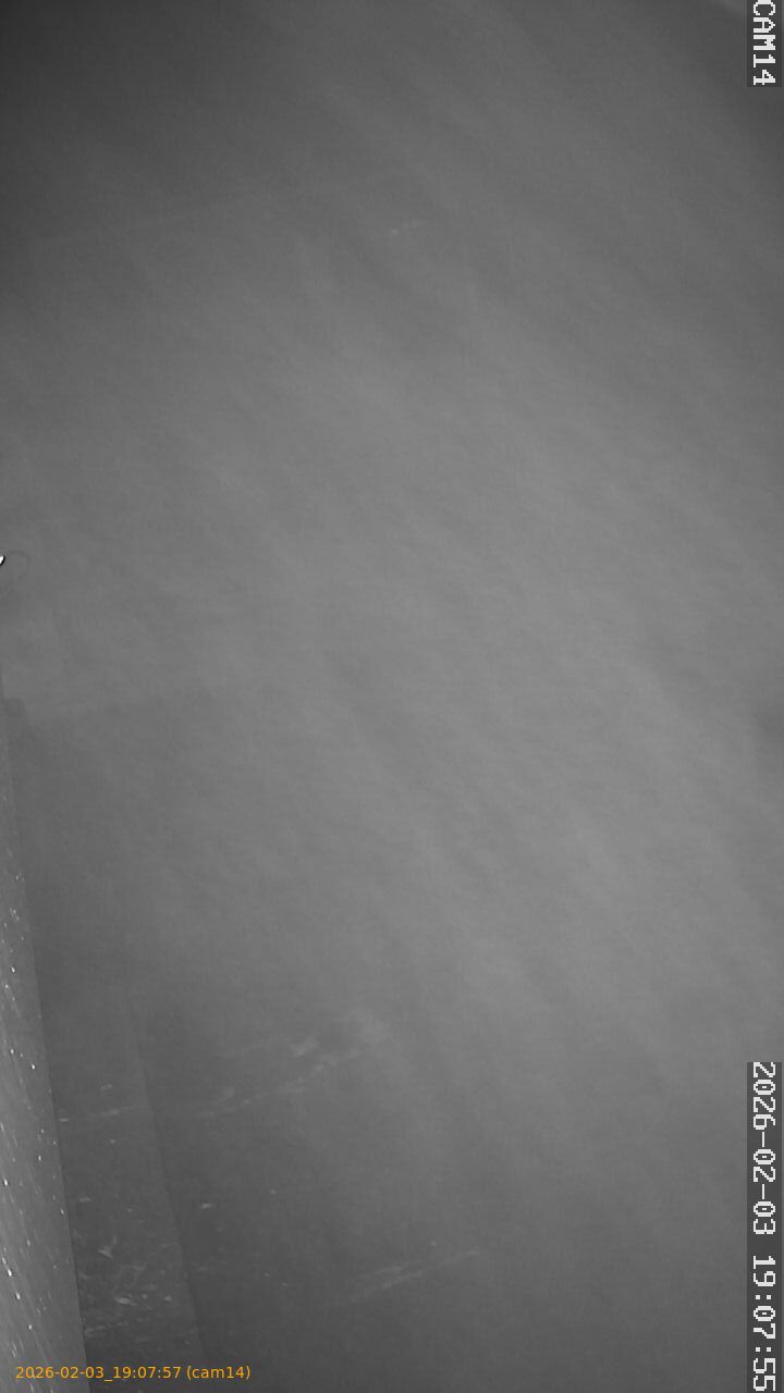 thumbnail_20260203190757