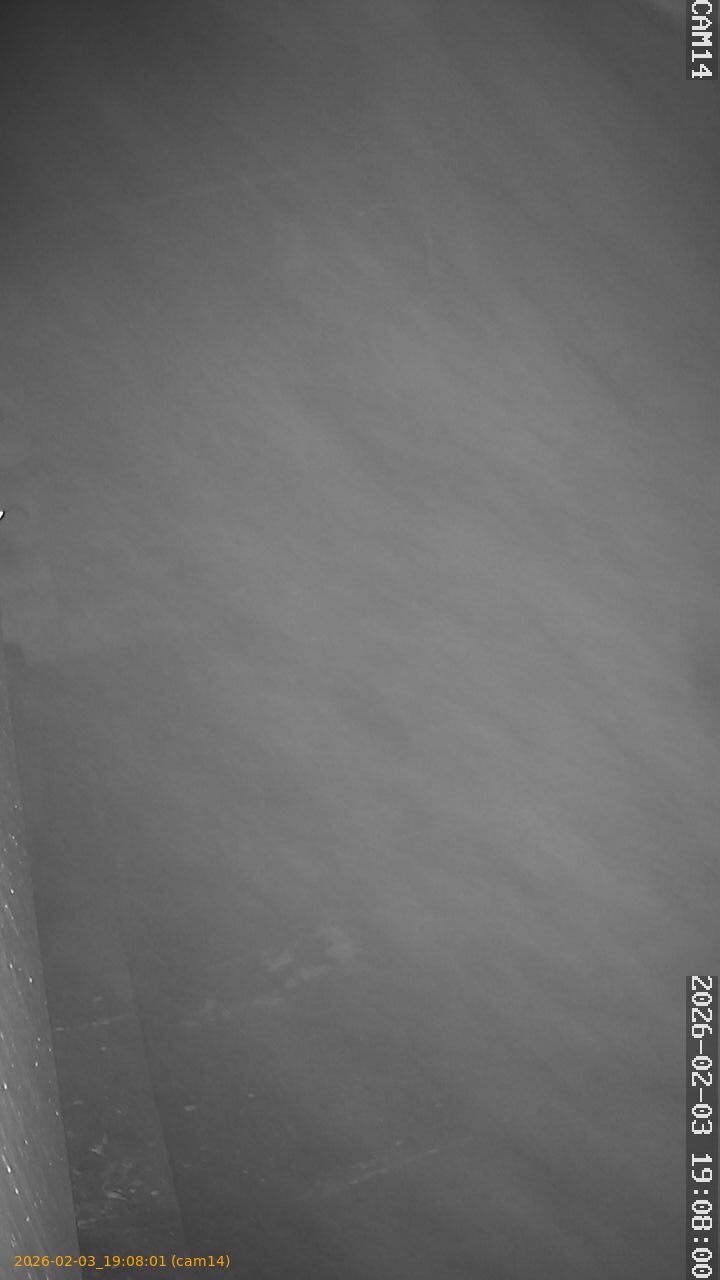 thumbnail_20260203190801