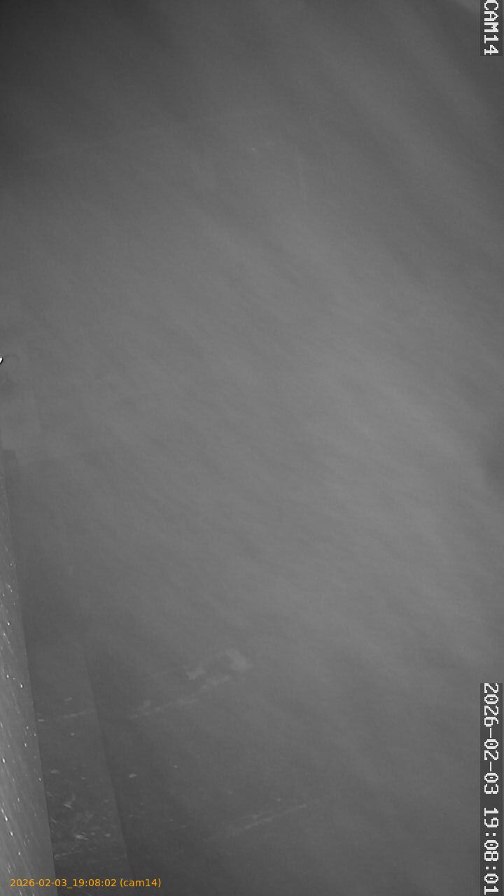 thumbnail_20260203190802