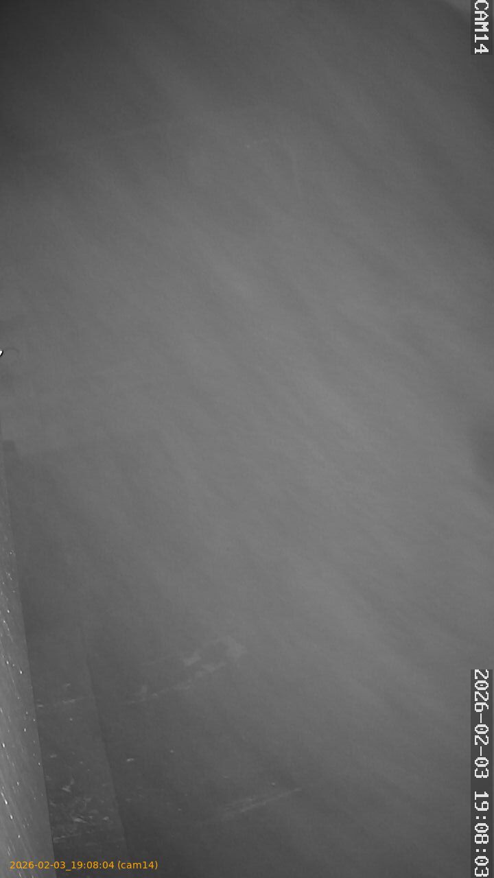 thumbnail_20260203190804