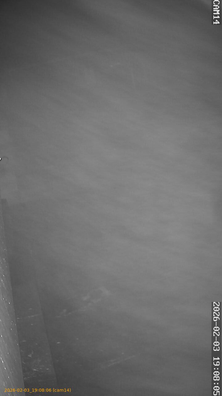 thumbnail_20260203190806