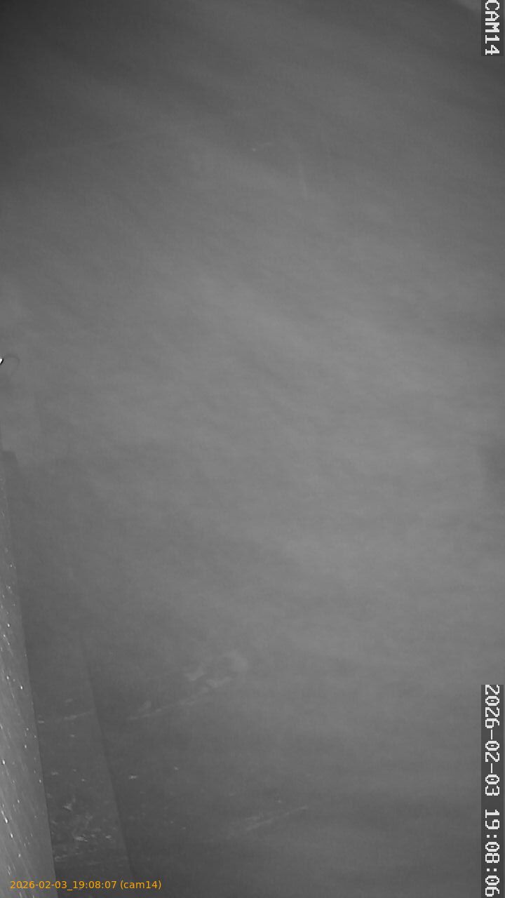 thumbnail_20260203190807