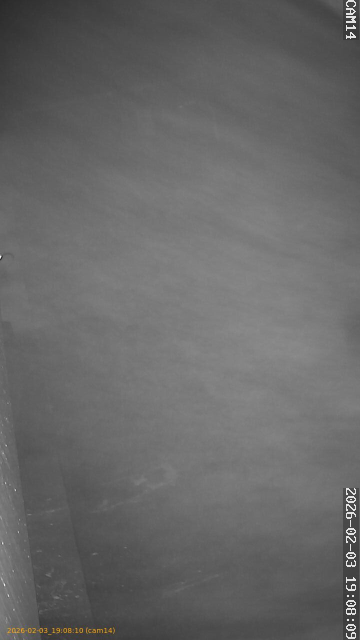 thumbnail_20260203190810