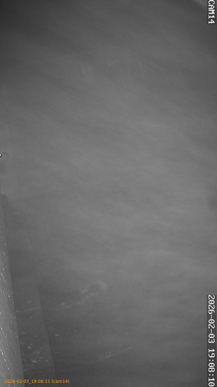 thumbnail_20260203190811