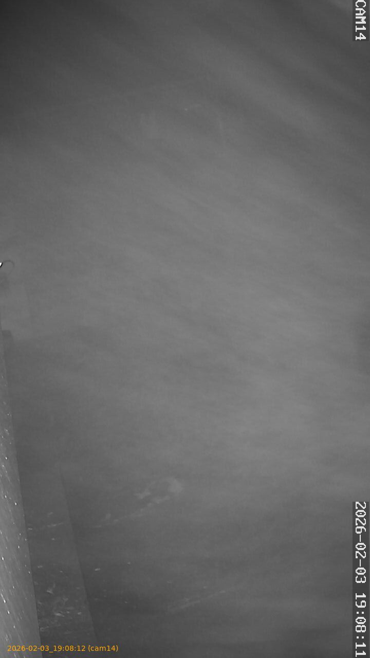 thumbnail_20260203190812