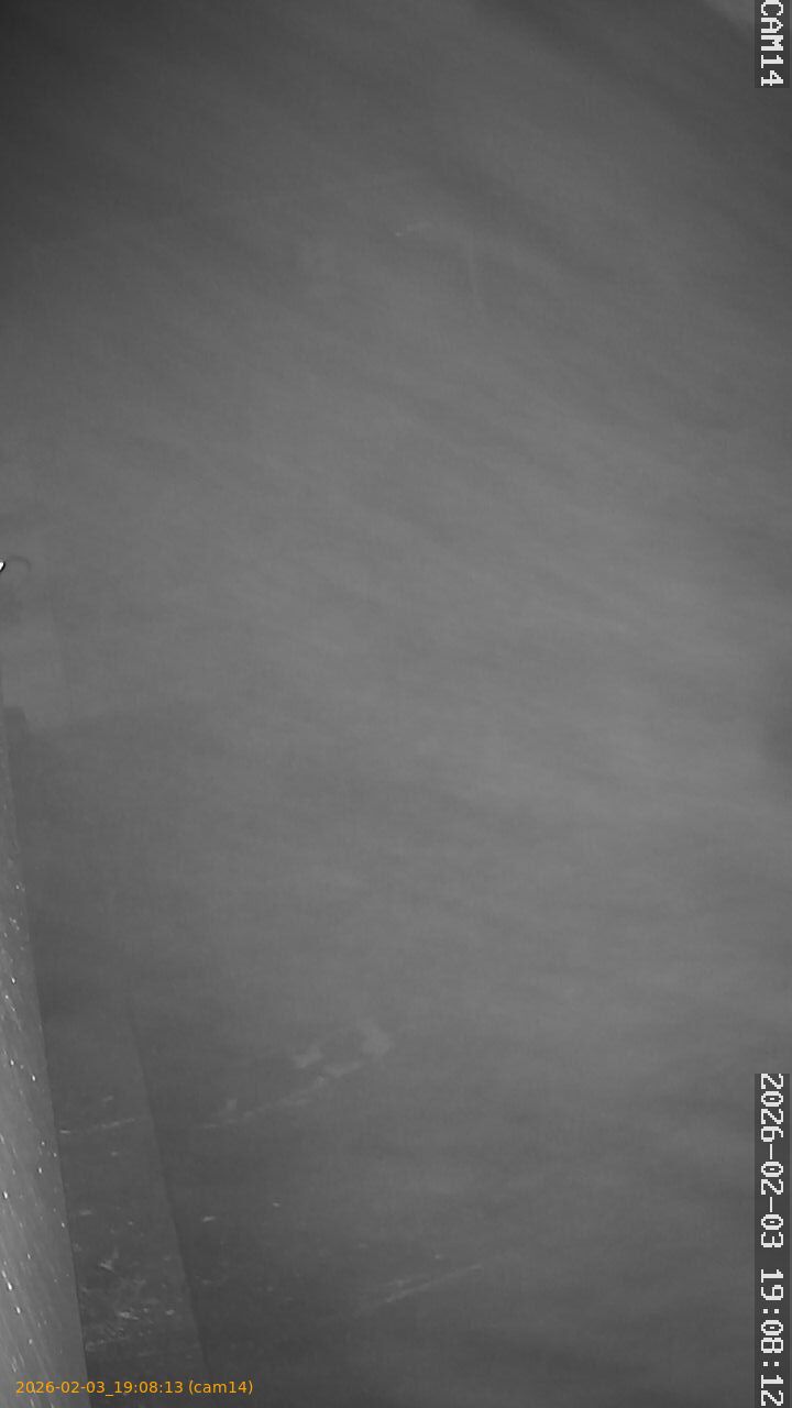 thumbnail_20260203190813