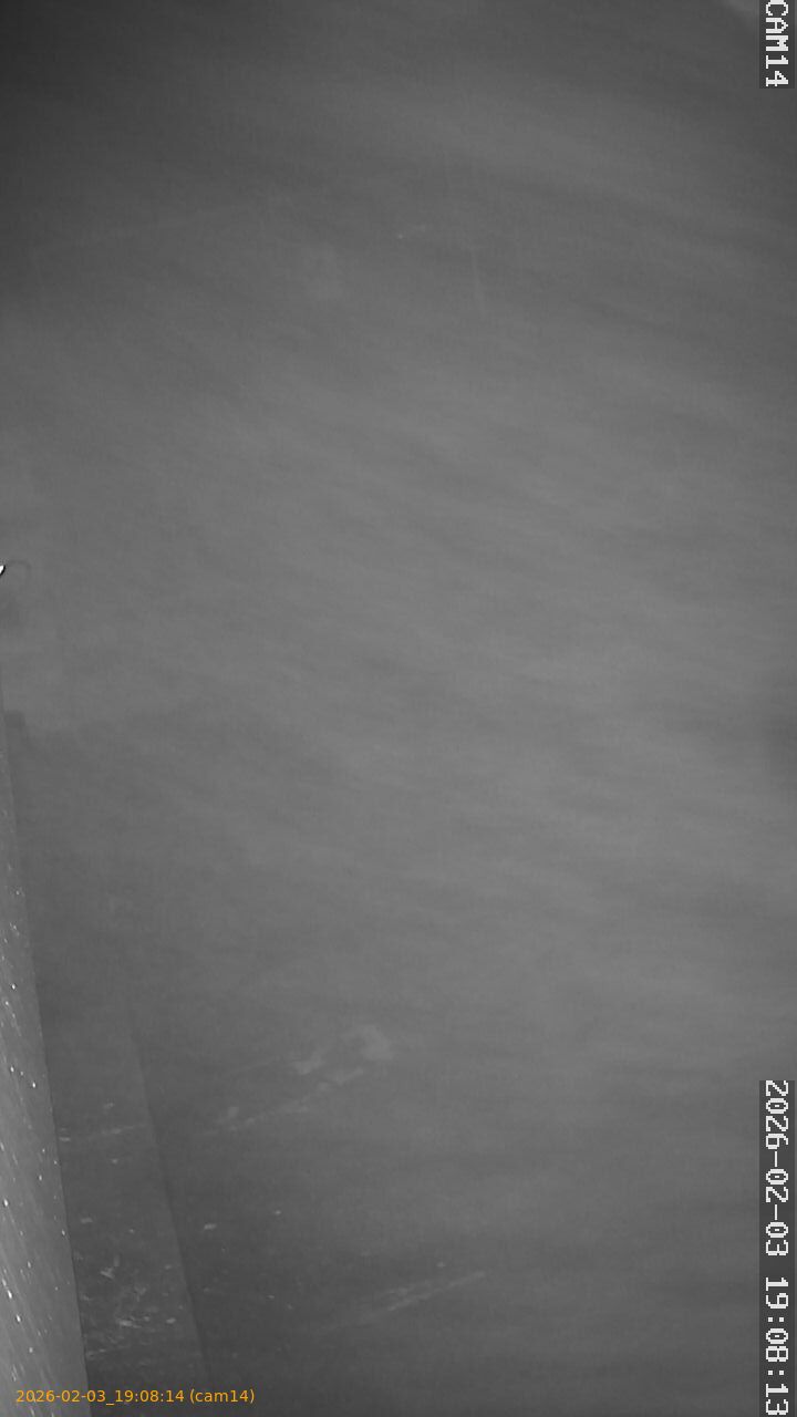 thumbnail_20260203190814