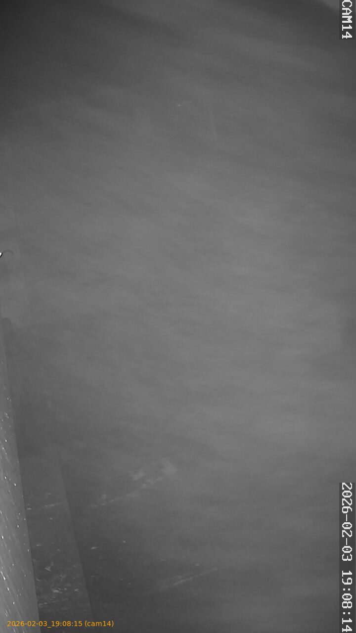 thumbnail_20260203190815